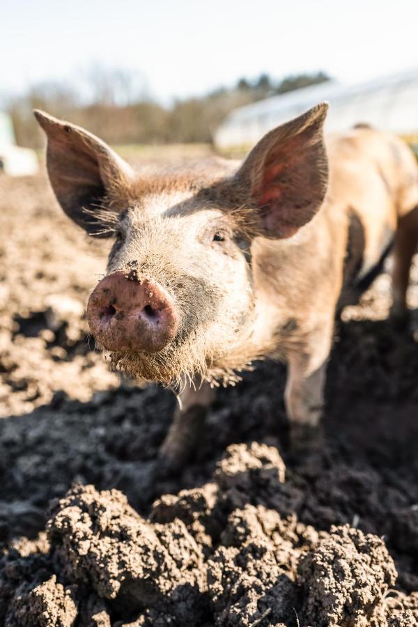 Vakantieboerderij Cascina Bagaggera *